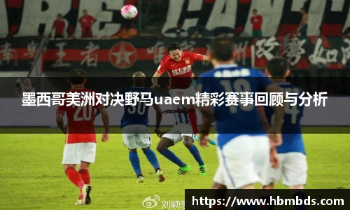 星空.综合体育官网