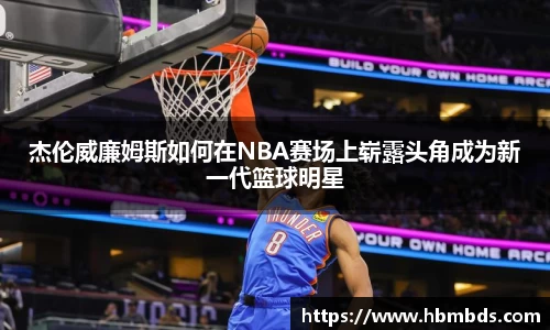 星空综合(中国)官方网站