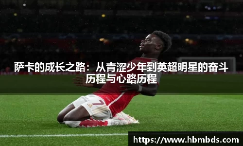 星空综合(中国)官方网站