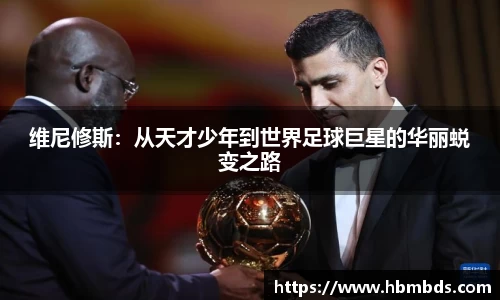 星空.综合体育官网