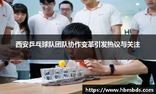 星空.综合体育(中国)官方网站