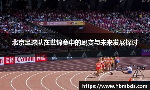 星空综合(中国)官方网站